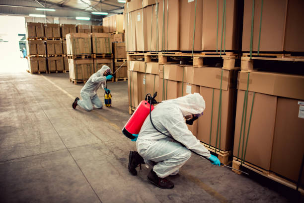 Best Affordable Pest Control Services  in Pilot Mountain, NC