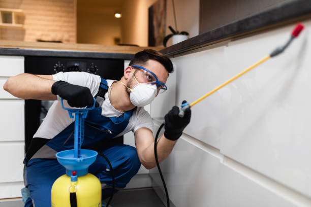 Best Bed Bug Extermination  in Pilot Mountain, NC