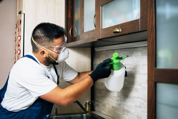 Trusted Pilot Mountain, NC Pest Control Experts