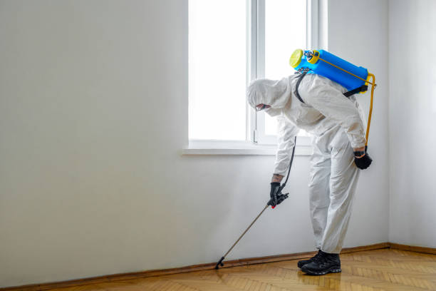Best Flea Control Services  in Pilot Mountain, NC