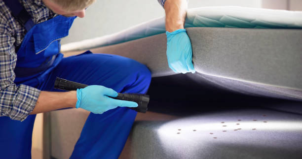 Best Best Pest Control Companies  in Pilot Mountain, NC